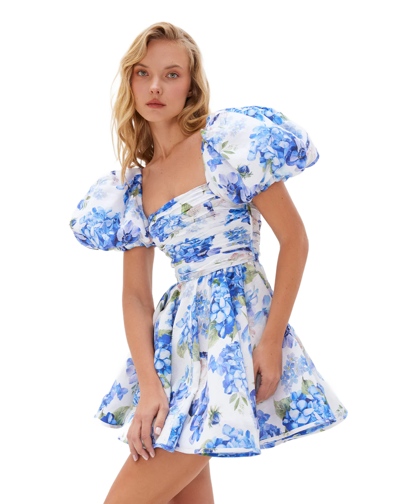 Yvon Helebore Mini Dress